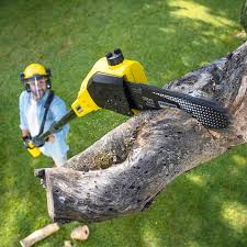 Best Soil Testing and Treatment  in Lemon Grove, CA